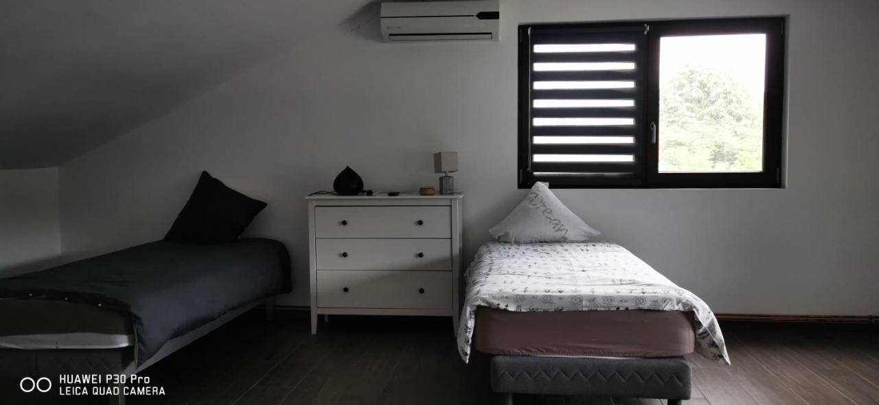 Luca'S Home Orşova Dış mekan fotoğraf